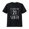 Celebrating  Years Sober Sobriety Anniversary AA Recovery T Shirt  vintage Washed Stretched fashion homme streetwear