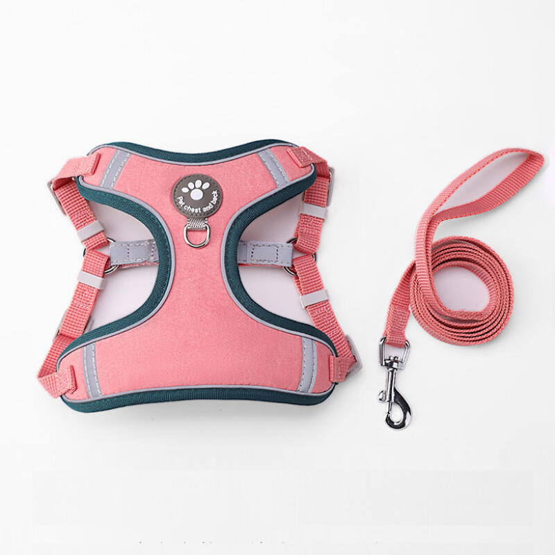 Dog Leash Harness Collar Full Set