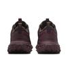 Nike ACG Mountain Fly 2 Low GORE-TEX Velvet Brown Men Sneakers HF6245-200