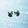 Fashion Bowknot Charming Women Jewelry Square Crystal Stud Earring Pair Blue