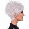 Women’s Short Silver White Wig with Side Bangs Fluffy Flipped Style Synthetic Hairpiece