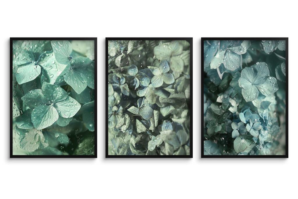 Plakaty W Zieleni Obrazy Na Ścianę Ścienne Zielone Liście Natura 30x40