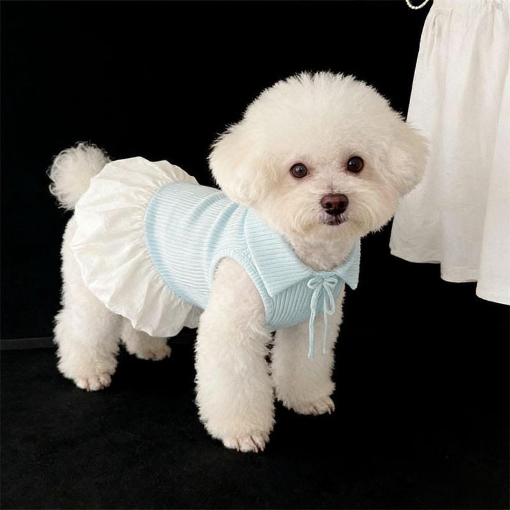 Soft Polyester Dog Knitted Dress Pullover Style Summer Dog Clothes Thin Teddy Skirts for Dog Cat
