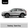 Haval H6 Cool Dog Touch-Up Pen, Black Spot & Ruixue White Scratch Repair Paint