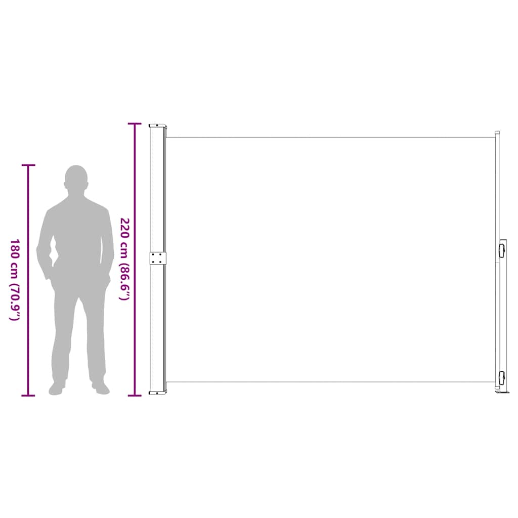 Side Awning Retractable 220 x 300 cm Grey