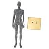 30cm lidský anatomický model socha ženské muskuloskeletální struktury pro výuku