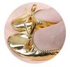 Huayu Dance Performance Shoes: Gold Belly Dance Flats with Soft Sole & High Heel Versatile for Indian and Square Stage