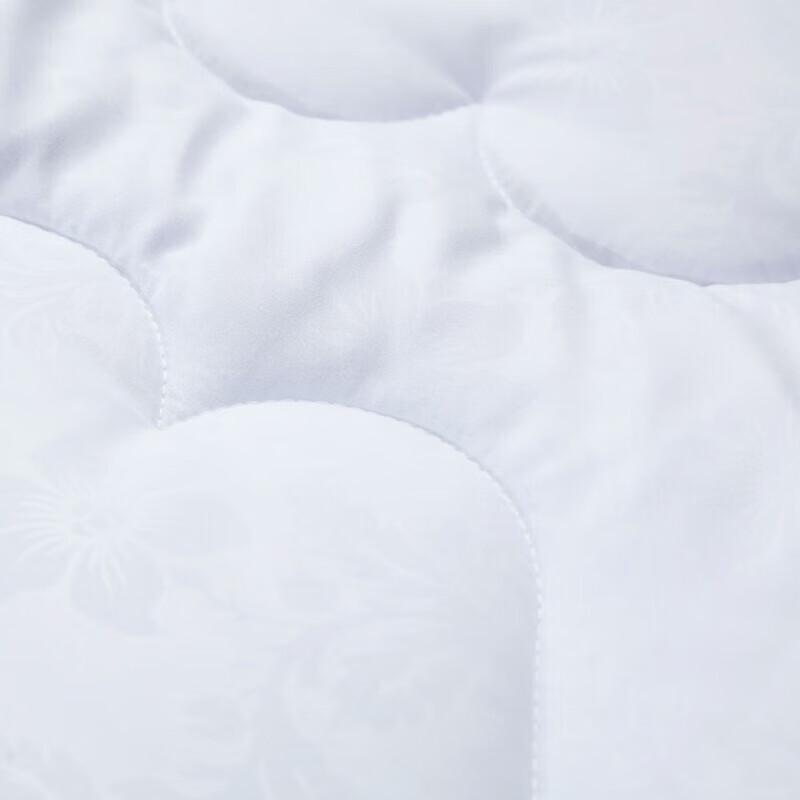 FUANNA Lyan All-Season Antibacterial Quilt