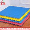 Longxia Taekwondo Training Mat