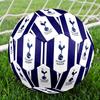 Tottenham Hotspur Theme Size 5 Soccer Ball, Suitable for Both Indoor and Outdoor Matches, a Gift Suitable for Everyone.