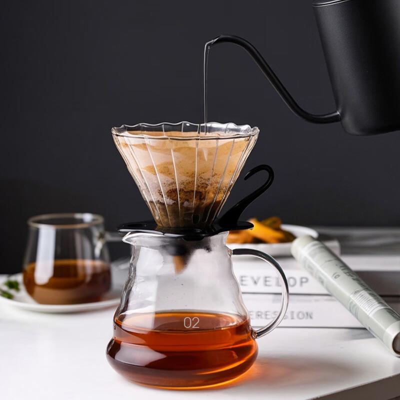 CLITON Pour-Over Koffiedruppelaar, Glazen Filterbeker met Fijn Gaas voor Thuisgebruik, Maakt 1-2 Kopjes
