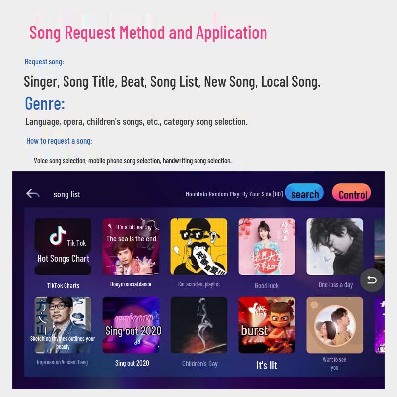 SAST MV880A+A80V Home KTV & Theater Audio System