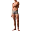 Pattern Print Low Rise Boxer Briefs Men Underwear Gray NB4061-VUE