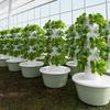 Hydroponic Tower Home Vertical Soilless Culture Equipment Hydroponic System Intelligent Timed Vegetable Planter