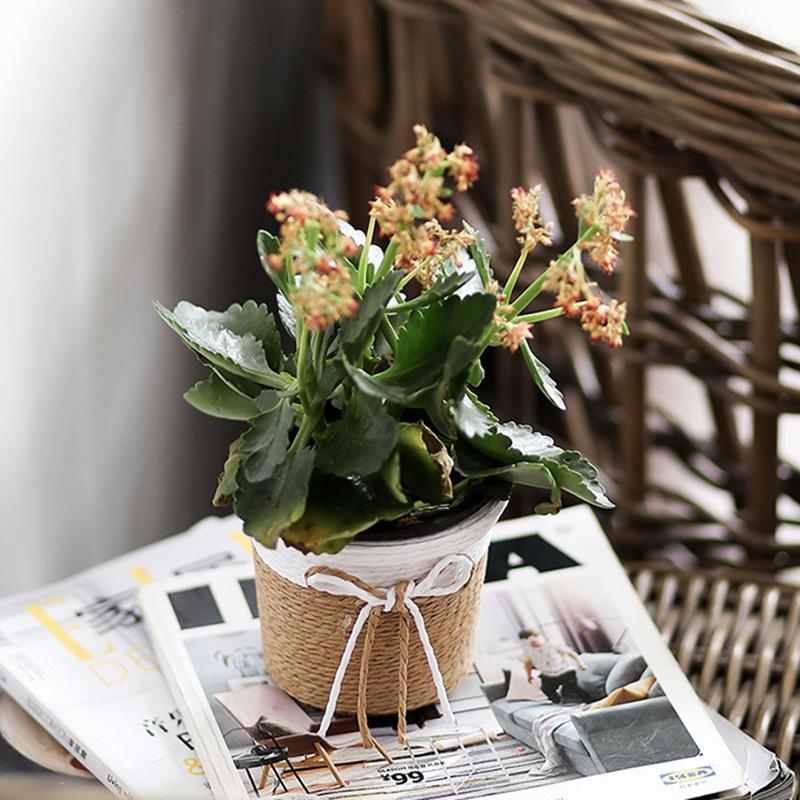 19.5cm Paper Rope Braided Fresh Flower Pot Decorative Basket Woven Flower Pot Cover Waterproof Simulated Succulent Flower Basket