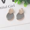 Gray Color Vintage Dangle Earrings for Women Gradient Resin Acrylic Statement Drop Earrings European&American Ear Accessories