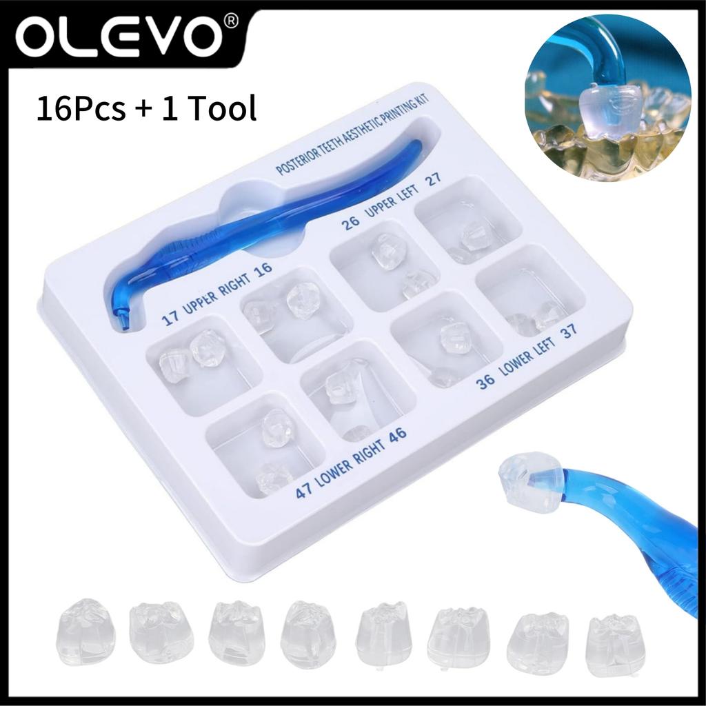 Dental Posterior Teeth Aesthetic Printing Mould Kit Professional Clinic Use for Light Cure Composite Restoration Filling Tools 3