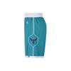 Jordan Bumblebee Team ICON Edition 2020 NBA Basketballshorts Herren Blau Grün CN8083-443