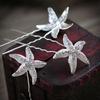 6 Pcs Starfish U Shape Braid Headwear Wedding Party Hairpin Hair Accessories