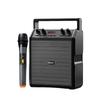 Philips Outdoor Bluetooth Speaker SD50X 9W Outdoor Bluetooth Speaker