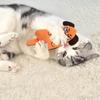 Cartoon Cat and Dog Shaped Toys, Bite-resistant Puppy Plush Dolls Cat Self-entertainment Teeth Grinding and Cleaning Interactiv
