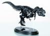 Gakken Tyrannosaurus Scale Skeleton Model Kit Poster 6 and Q750763 1/35 & Life-Size (Ages Up)
