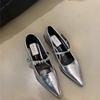 Fashion 2024 New Style Silver Leather Shoes Fashion Pointed Low Heel Mary Jane Women's Casual Shoes