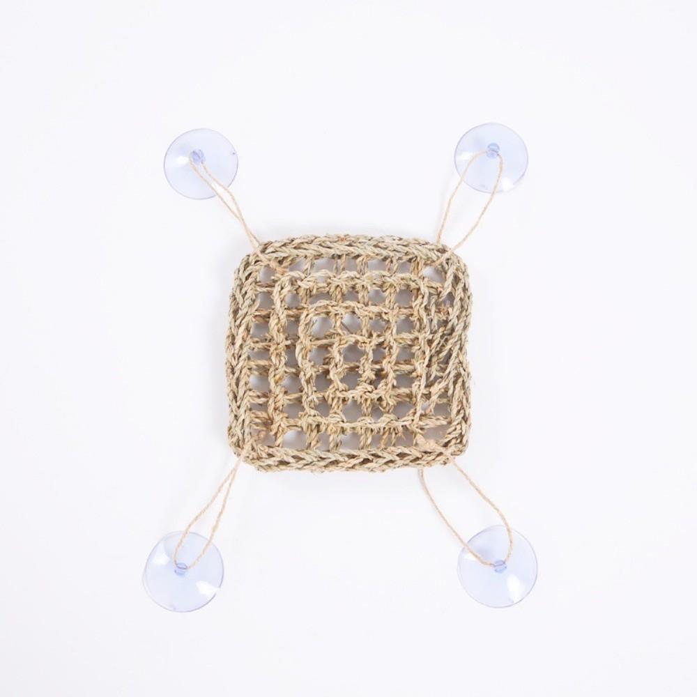 Suction Install Reptiles  Hammock Climbing Perch Lizard Rest Cushion  Cage Accessories