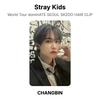 Stray Kids World Tour dominATE SEOUL SKZOO HAIR CLIP Official Photocard