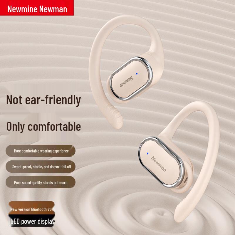 Newman LY12PLUS Open-Ear True Wireless Ear Hook Headphones