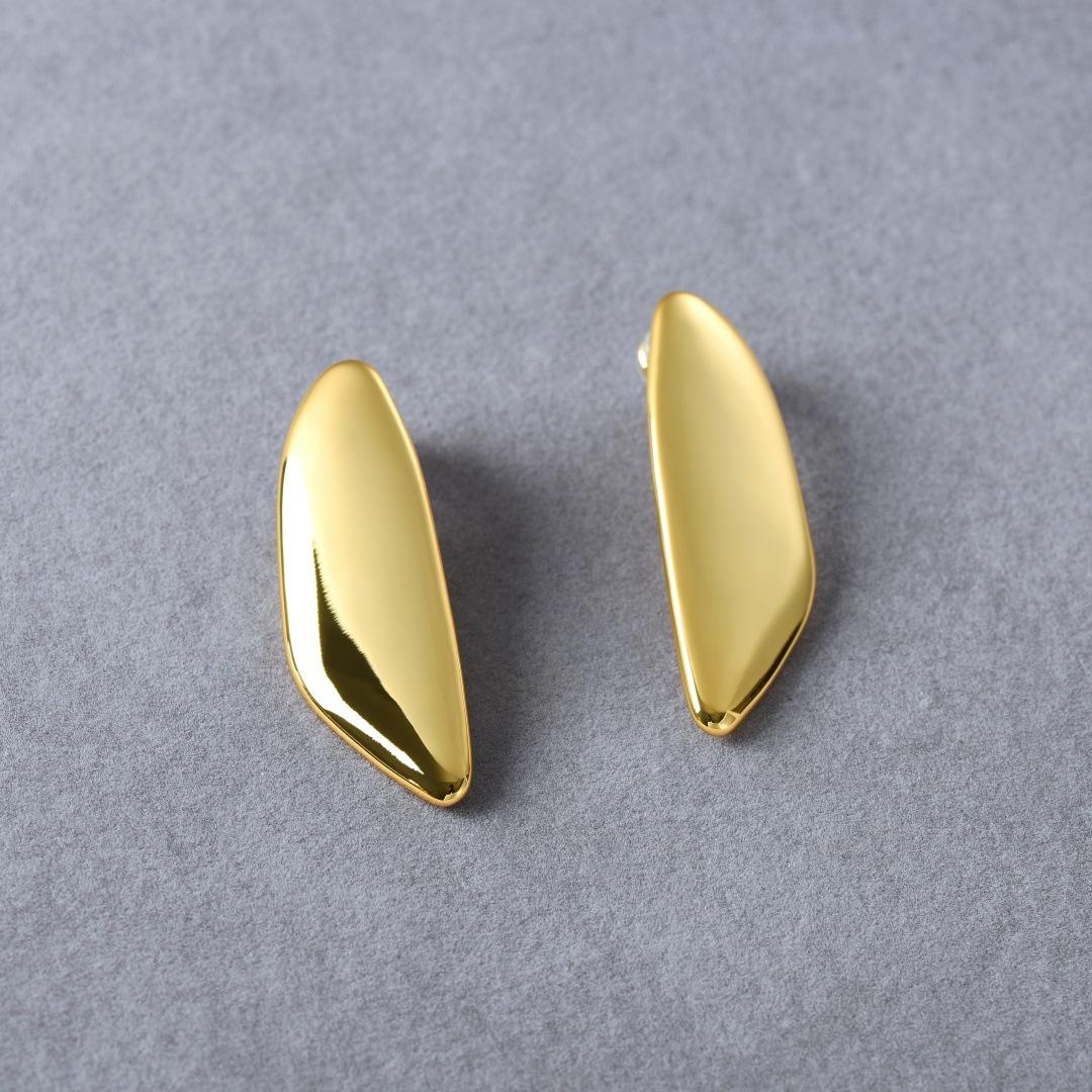 Wind Exaggerated Personality Irregular Metal Earrings S925 Silver Needle Earrings Simple And Cold Wind Advanced Earrings