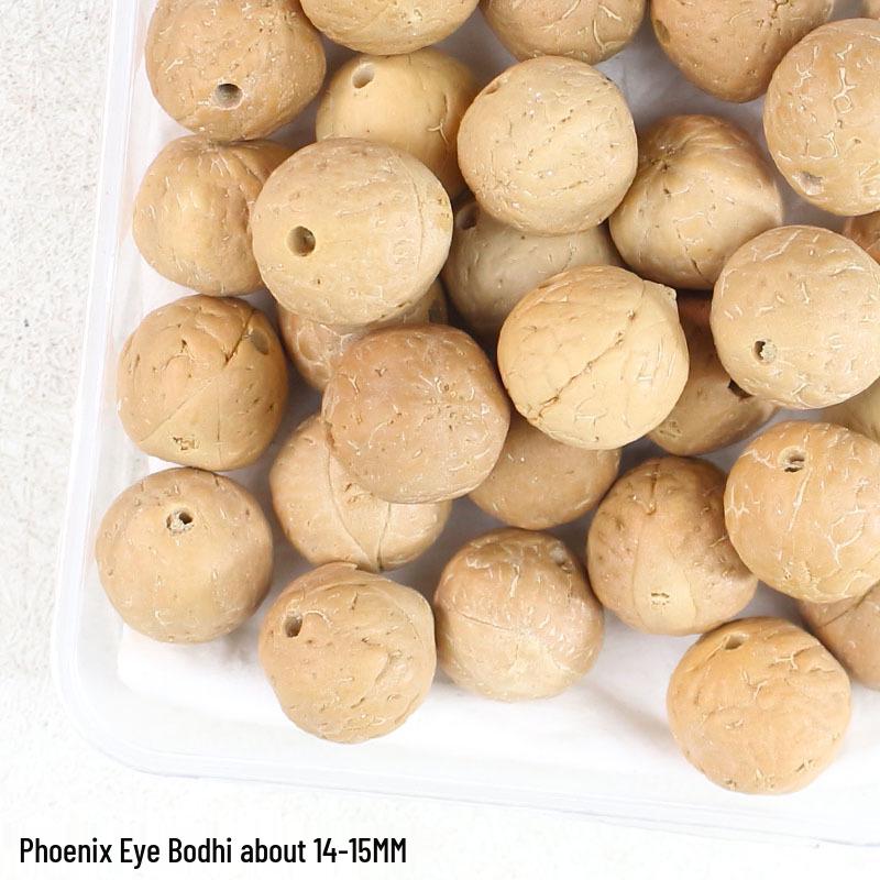 Vajra Star Moon Bodhi Beads - Raw Loose Beads for Handmade DIY Jewelry