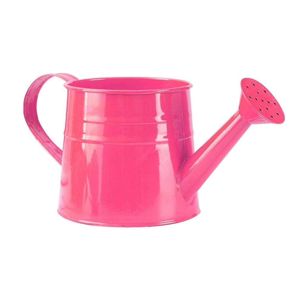 Watering Can Gardening Tools Accessories, Watering Can Plant Watering Can, Metal Garden Watering Can For Indoor & Outdoor Plant Garden