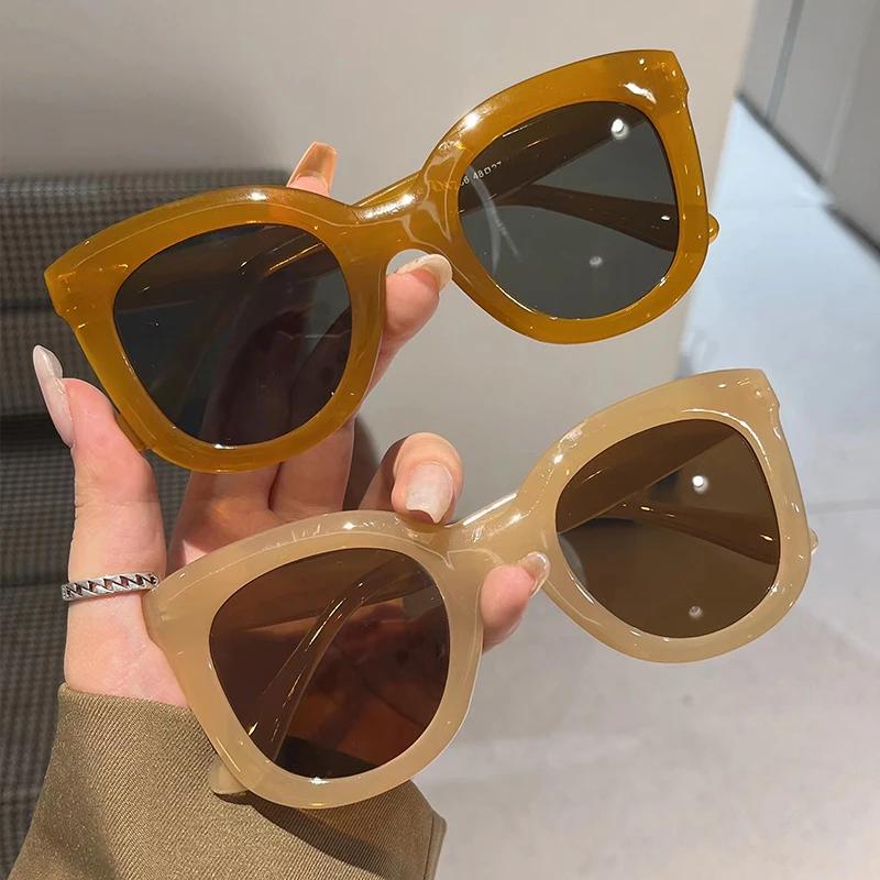Oversized Butterfly Cat Eye Sunglasses New Trendy Fashion Female Lady Shades Colorful Popular Designer Eyewear for Women