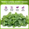 5/10/20Pcs Natural Catnip Balls Kitten Cat Nip Ball Licker Toy for Cats of All Breeds,Lick Ball Toys That Fascinate Pet Cats