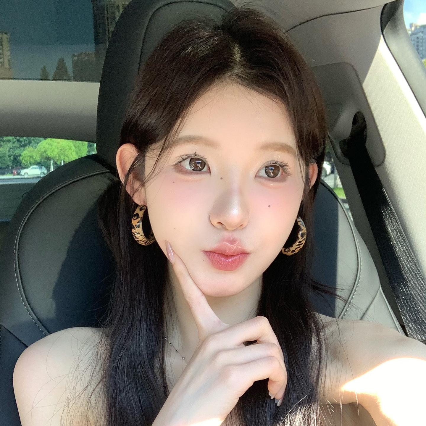 Vintage Coffee Maillard Wide Edge Leopard Stud Earrings Femininity Earrings Ears