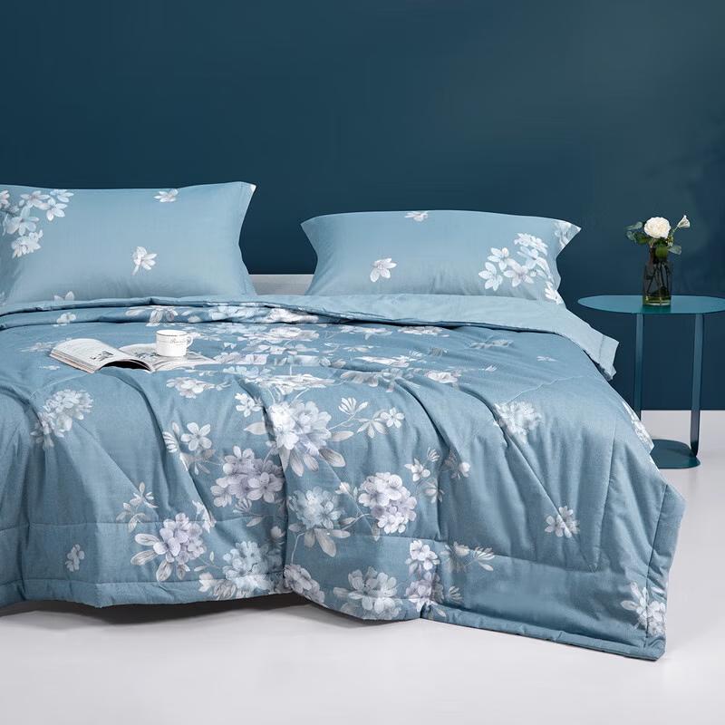 Mercury Home Textiles Huaxiya Printed Cotton All-Season Quilt