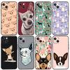 Chihuahua Dog Phone Case For iPhone 14 13 12 11 15 16 Pro Max 7 8 Plus X XR XS Max 12 13 Mini Cover Case