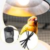 Heating Lamp Holder Light Mesh Cage for Bearded Dragon Chick Turtle
