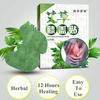 12pcs/bag Knee Plaster Sticker Wormwood Extract Joint Ache Pain Relieving Body Patch