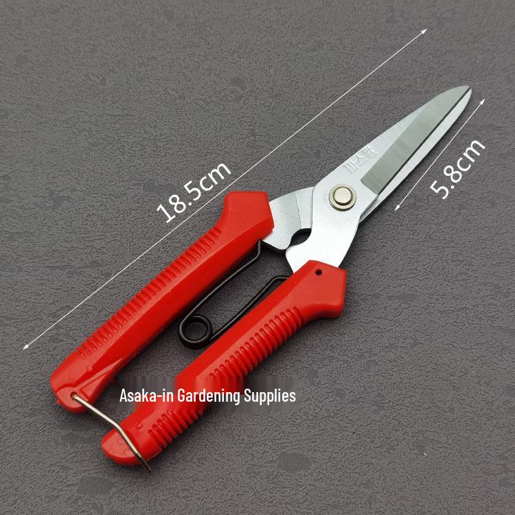 WS-905 Multi-Purpose Pruning Shears: Branch, Thinning, Fruit Picking, Leaf, Garden, and Grape Shears