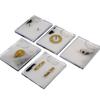 Comprehensive Electric Field Lines Demonstration Set With 5 Glass Boards For Physics Classroom Experiments And Education