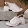New slope heel sandals women's muffin thick-soled summer wear fashionable soft-soled fish mouth high heels