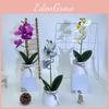 Phalaenopsis Simulated Flower Pot With Realistic Design For Event Decor And Photography