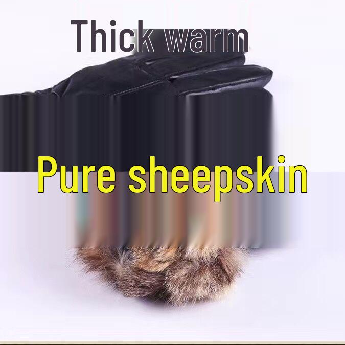 Men's & Women's Winter Leather Gloves: Touchscreen, Windproof, Coldproof, Plus Velvet for Riding & Motorcycling