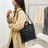 Winter Down Bag Quilted Space Cotton Handbags For Women Large Capacity Tote Bags Female Wide Strap Feather Padded Crossbody Bags