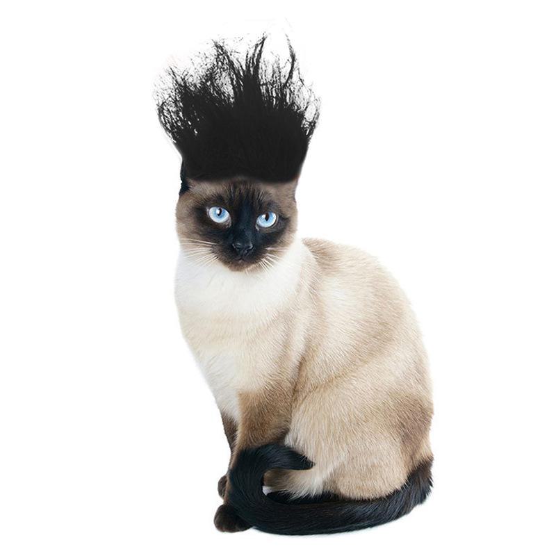 Colorful Halloween Wig Accessories for Pets: Funny Cat & Dog Costumes