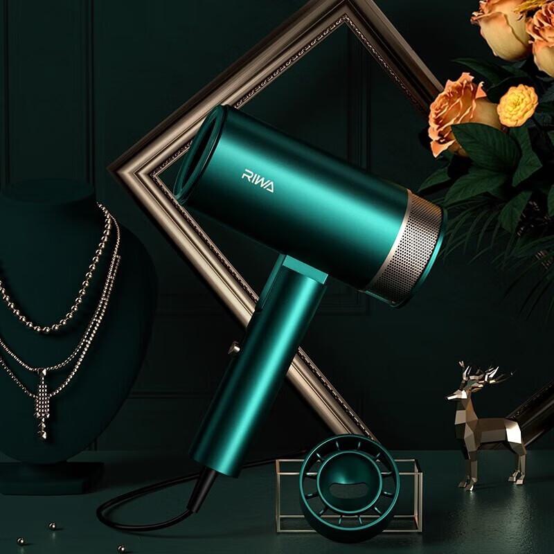 Rewa Negative Ion Hair Dryer CN plug (adapter included)