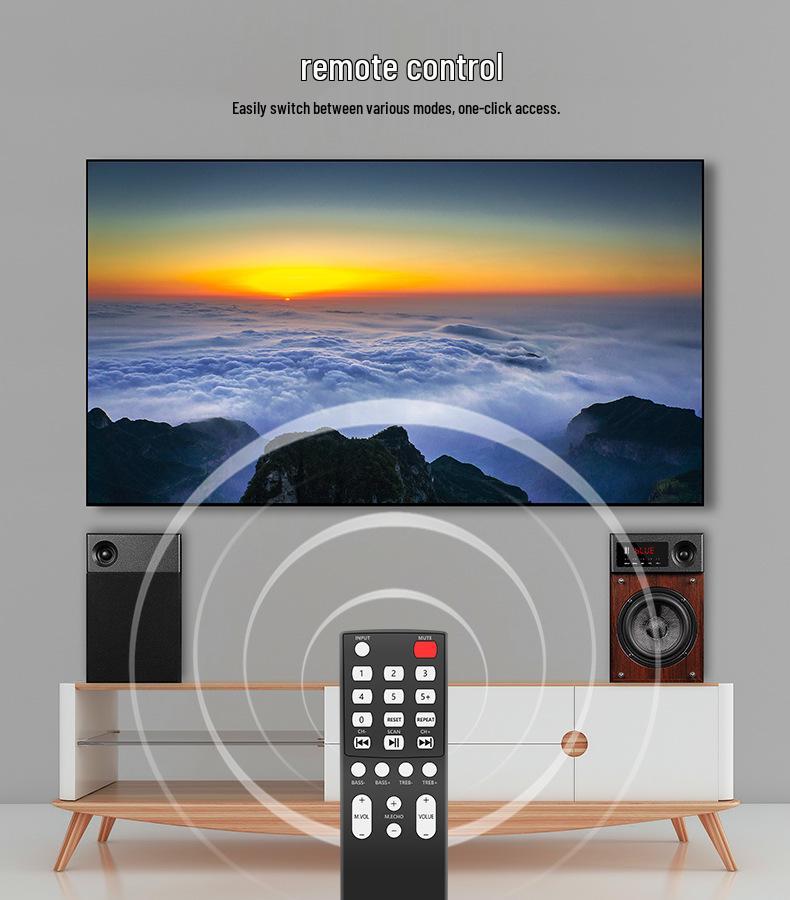 Haoyun HiFi Audiophile 2.0 Desktop Bookshelf Speakers for TV or Computer