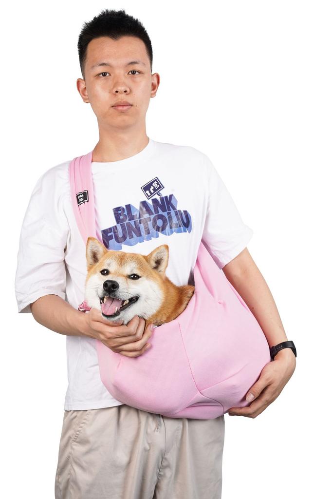 Foldable Breathable Crossbody Pet Carrier Large Capacity Portable Dog Cat Bag for Travel